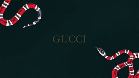 bug gucci|why does gucci use snake.